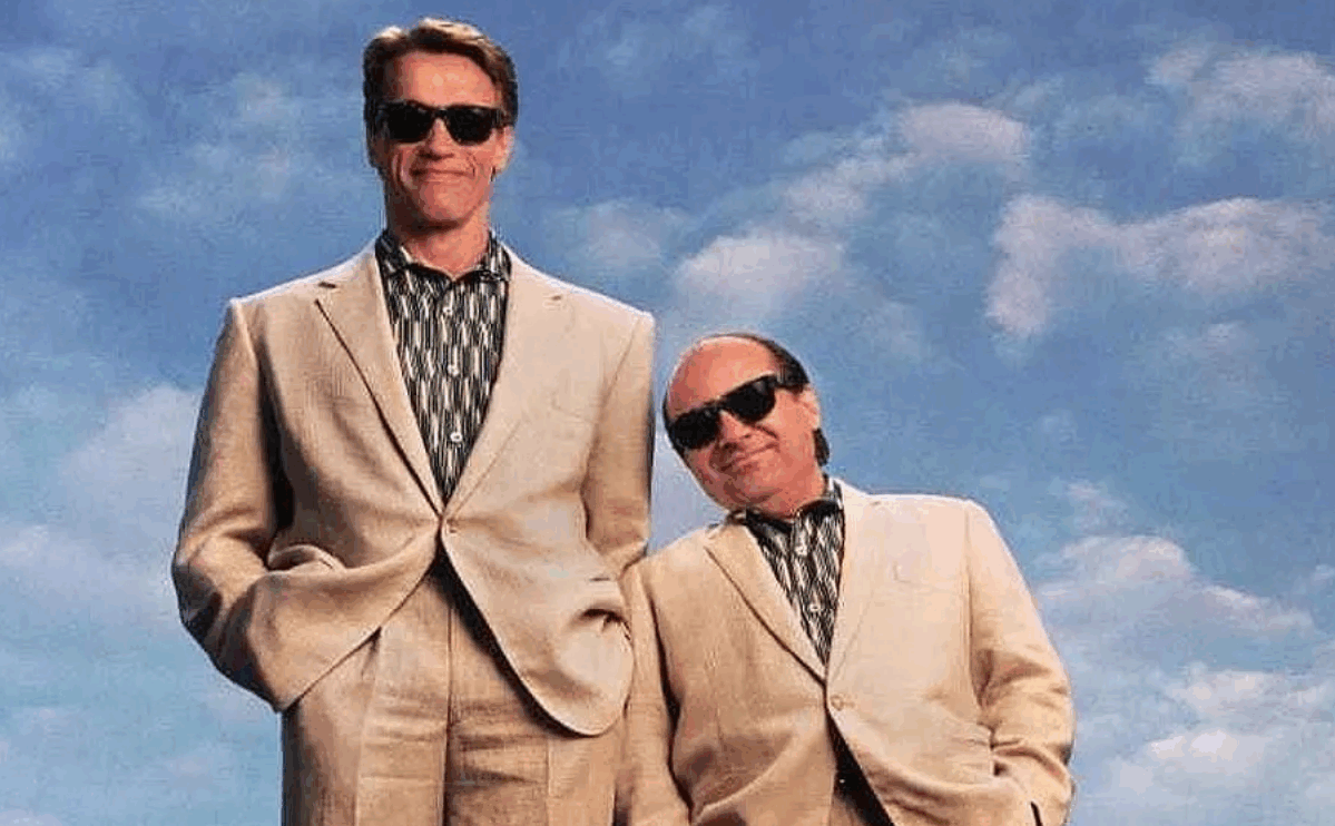 Arnold Schwarzenegger and Danny DeVito standing side by side representing the contrast between Auckland’s fast and slow growth suburbs